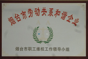 企業(yè)榮譽(yù)