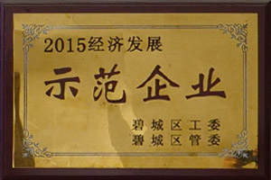 企業(yè)榮譽(yù)