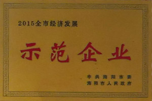 企業(yè)榮譽(yù)