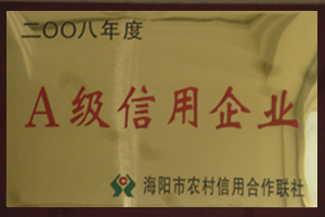 企業(yè)榮譽(yù)