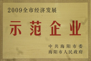 企業(yè)榮譽(yù)